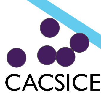 CACSICE logo